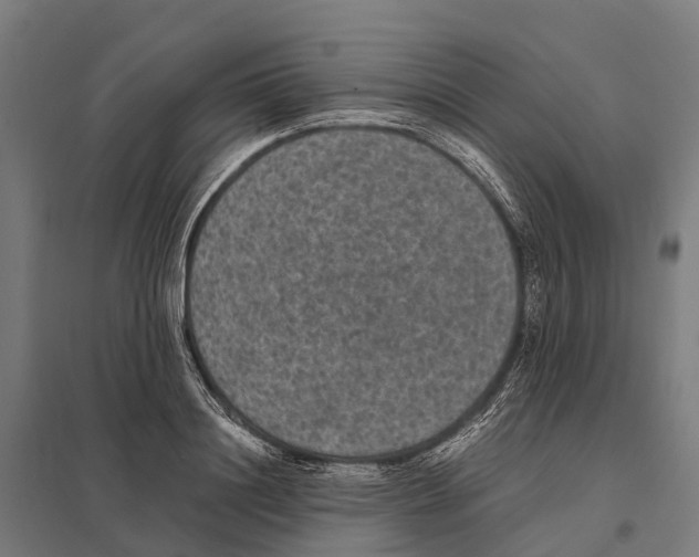 X0000097620844200803281034