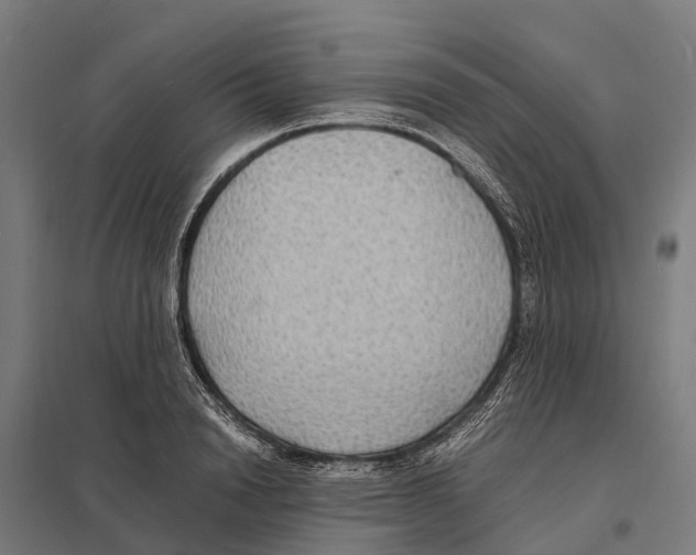 X0000097620846200803281034