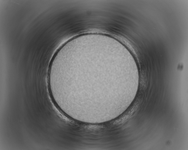 X0000097620847200803281035