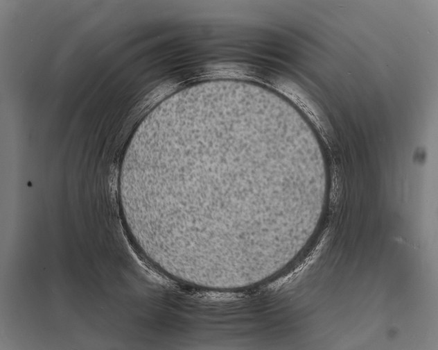 X0000097620849200803281035
