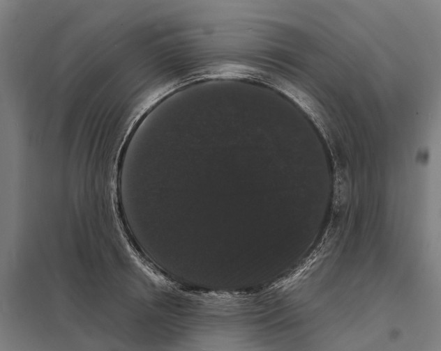 X0000097620850200803281035