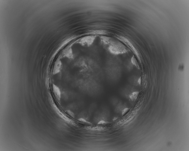 X0000097620851200803281035