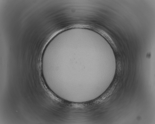 X0000097620852200803281035