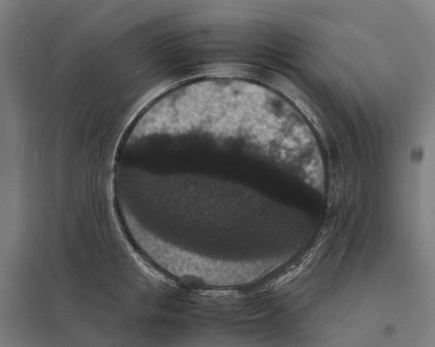 X0000097620853200803281035
