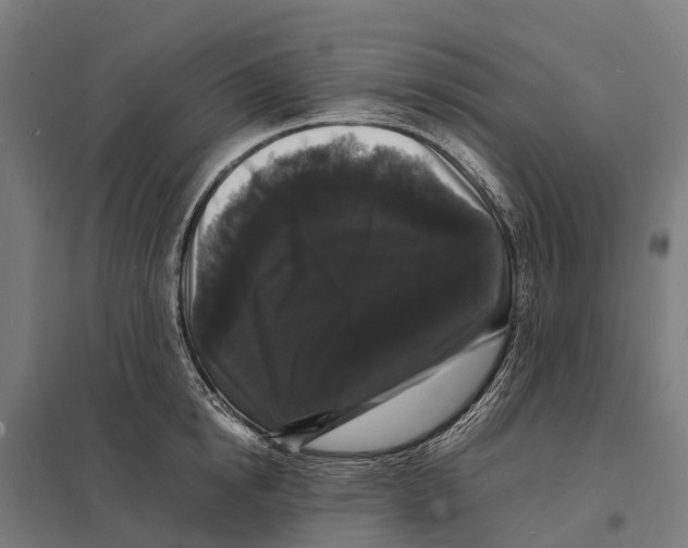 X0000097620854200803281035