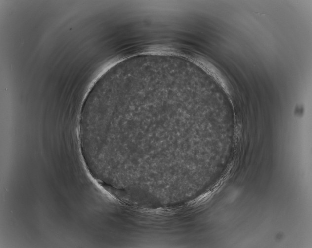 X0000097620855200803281035