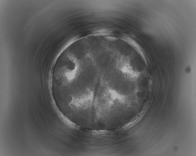 X0000097620859200803281035