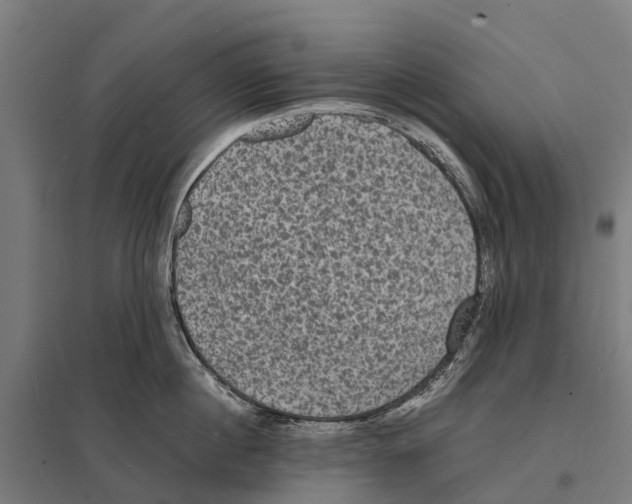 X0000097620860200803281035