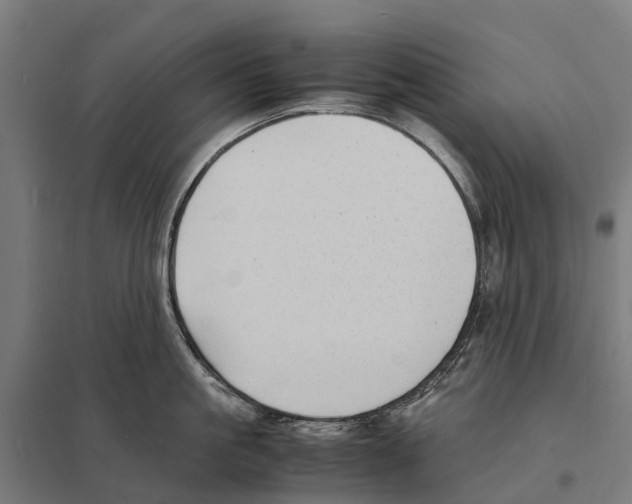 X0000097620861200803281035