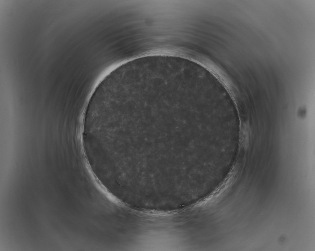 X0000097620862200803281035