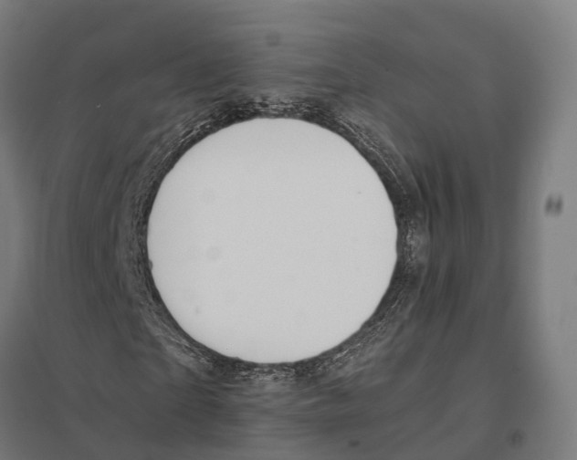 X0000097620865200803281034