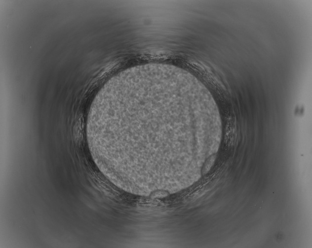 X0000097620866200803281034