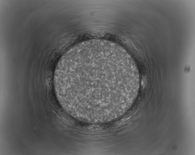 X0000097620867200803281034