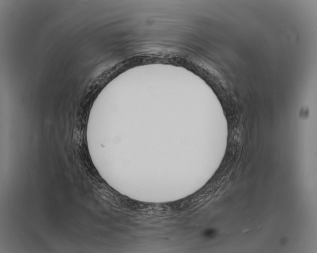 X0000097620869200803281034