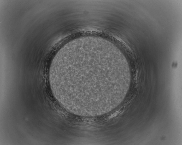 X0000097620870200803281034