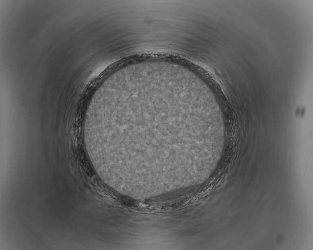 X0000097620871200803281034