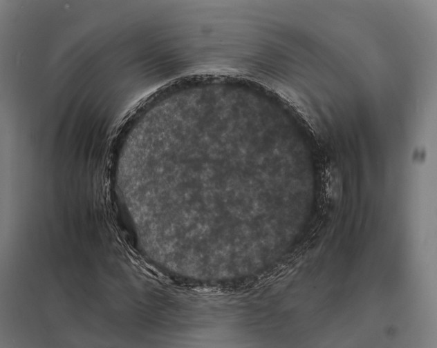 X0000097620872200803281034
