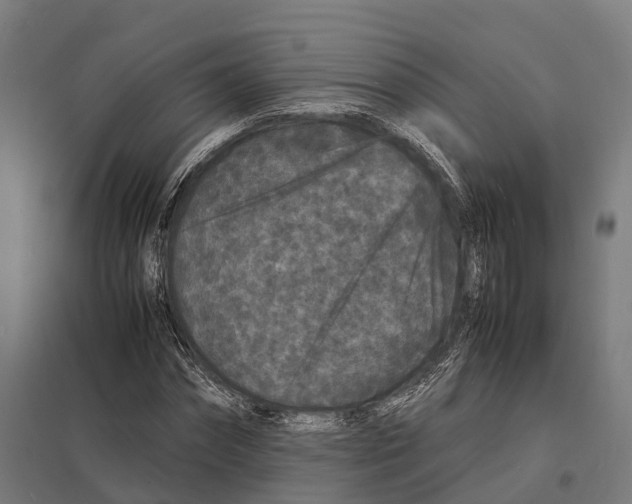 X0000097620874200803281034