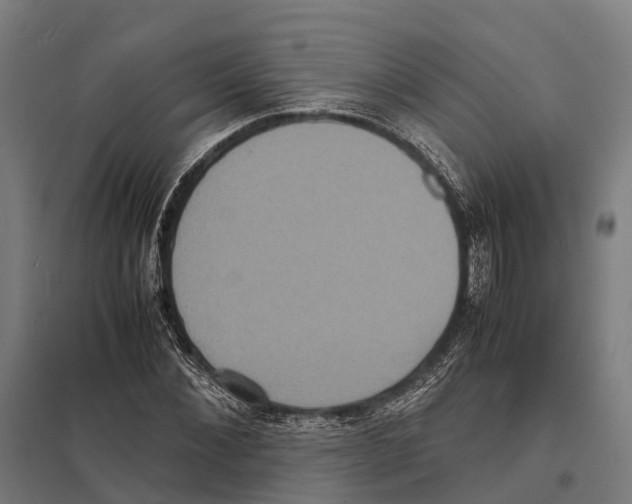X0000097620876200803281034