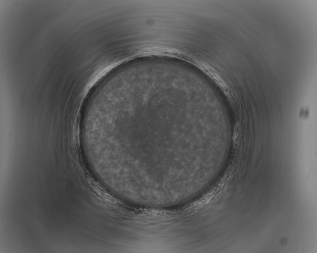 X0000097620877200803281034
