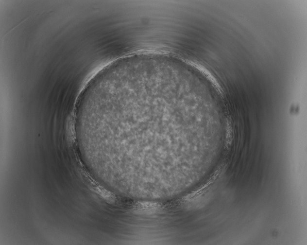 X0000097620878200803281034