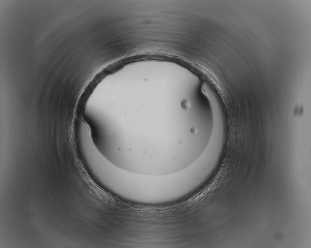 X0000097620880200803281034