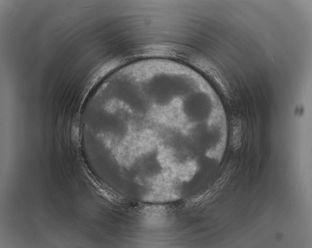 X0000097620882200803281034