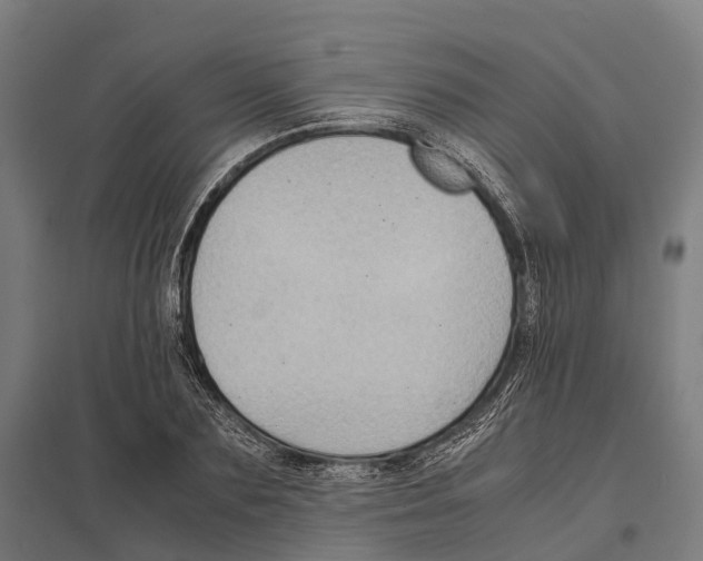 X0000097620883200803281034