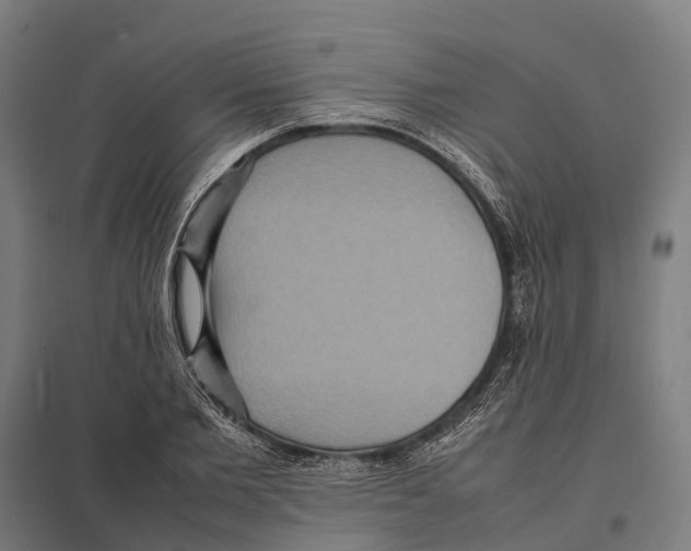 X0000097620885200803281034