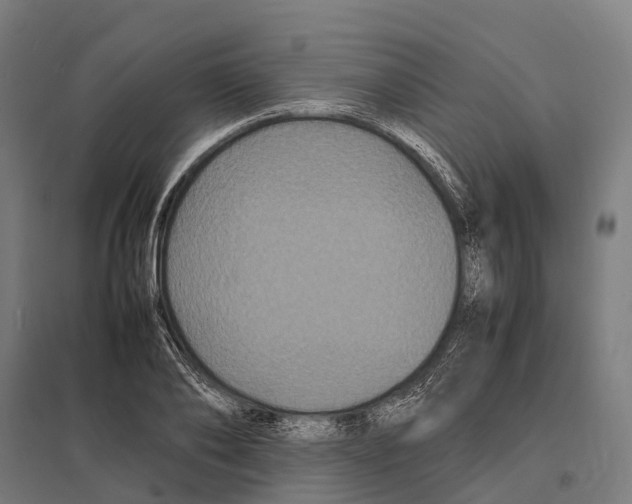 X0000097620886200803281034