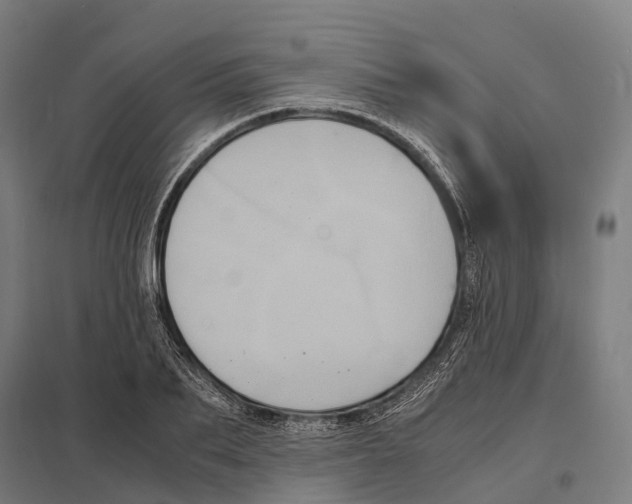 X0000097620887200803281034