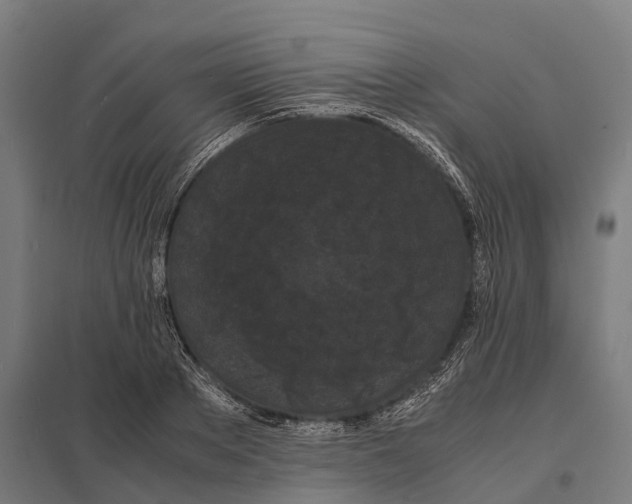X0000097620889200803281034