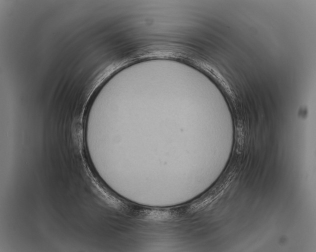 X0000097620890200803281034