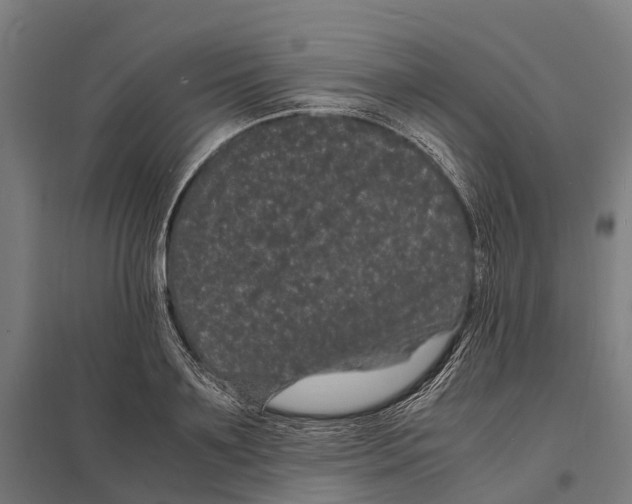 X0000097620891200803281034