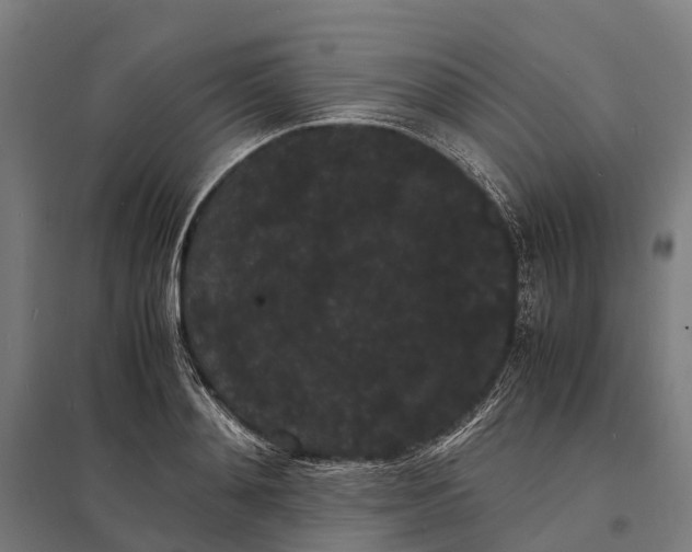 X0000097620892200803281034