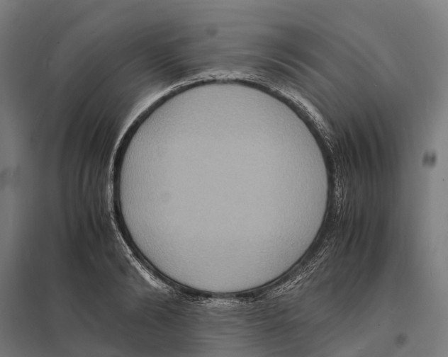 X0000097620894200803281034