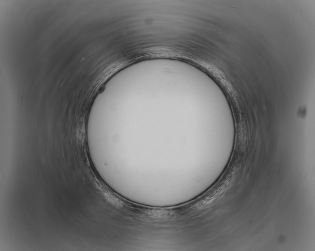 X0000097620897200803281034