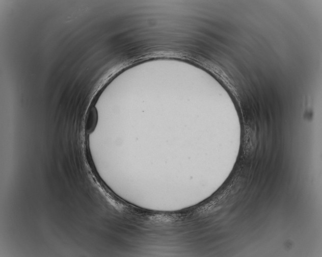X0000097620898200803281034
