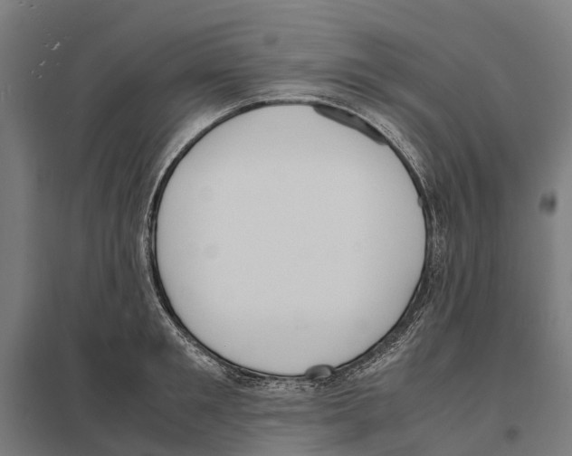 X0000097620901200803281034
