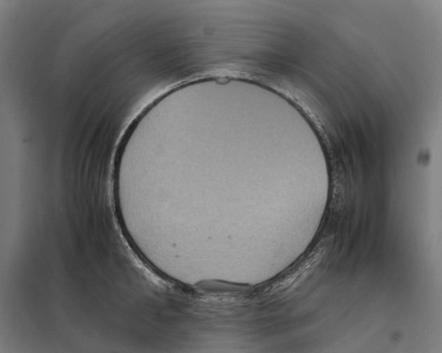 X0000097620902200803281034