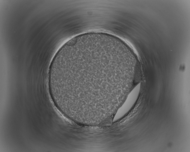 X0000097620903200803281034