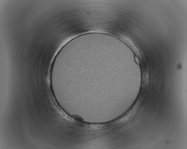 X0000097620908200803281033