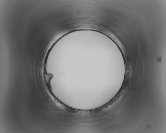 X0000097620909200803281033