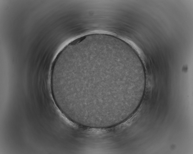 X0000097620910200803281033