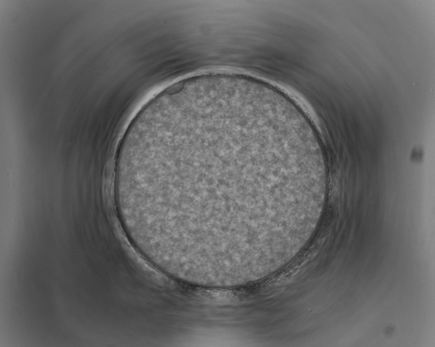 X0000097620911200803281033