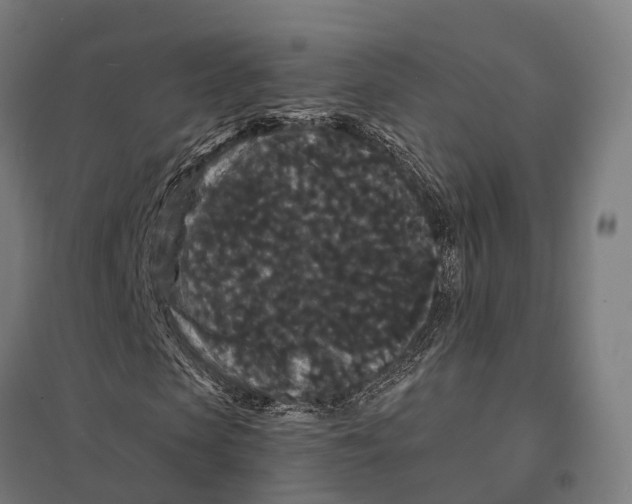 X0000097620913200803281033