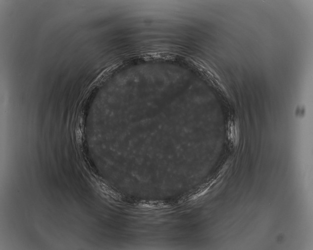 X0000097620915200803281033