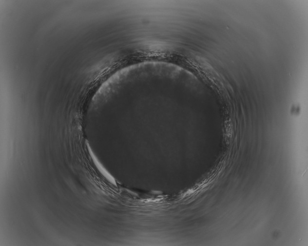 X0000097620916200803281033