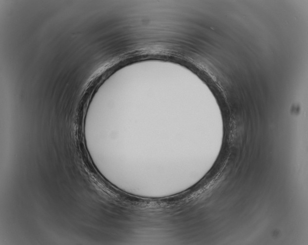 X0000097620922200803281033