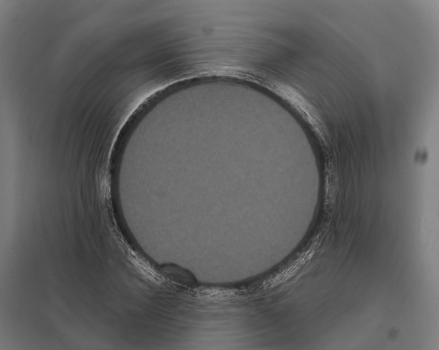 X0000097620924200803281033